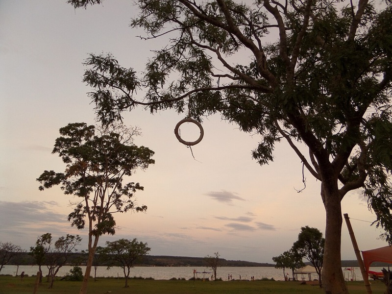 Árvores do Parque das Garças com o lago ao fundo, no pôr do sol